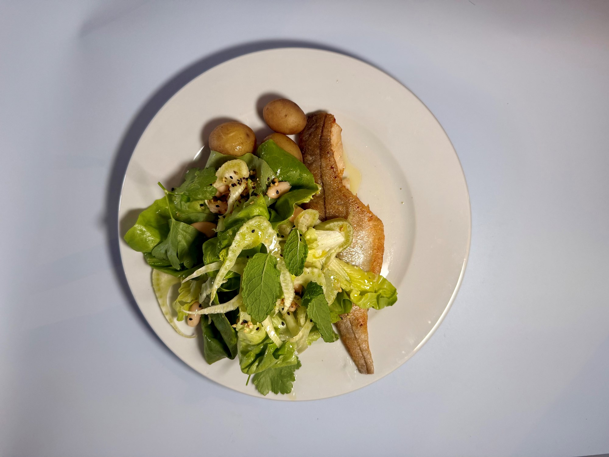 Stegt rødspætte med salat