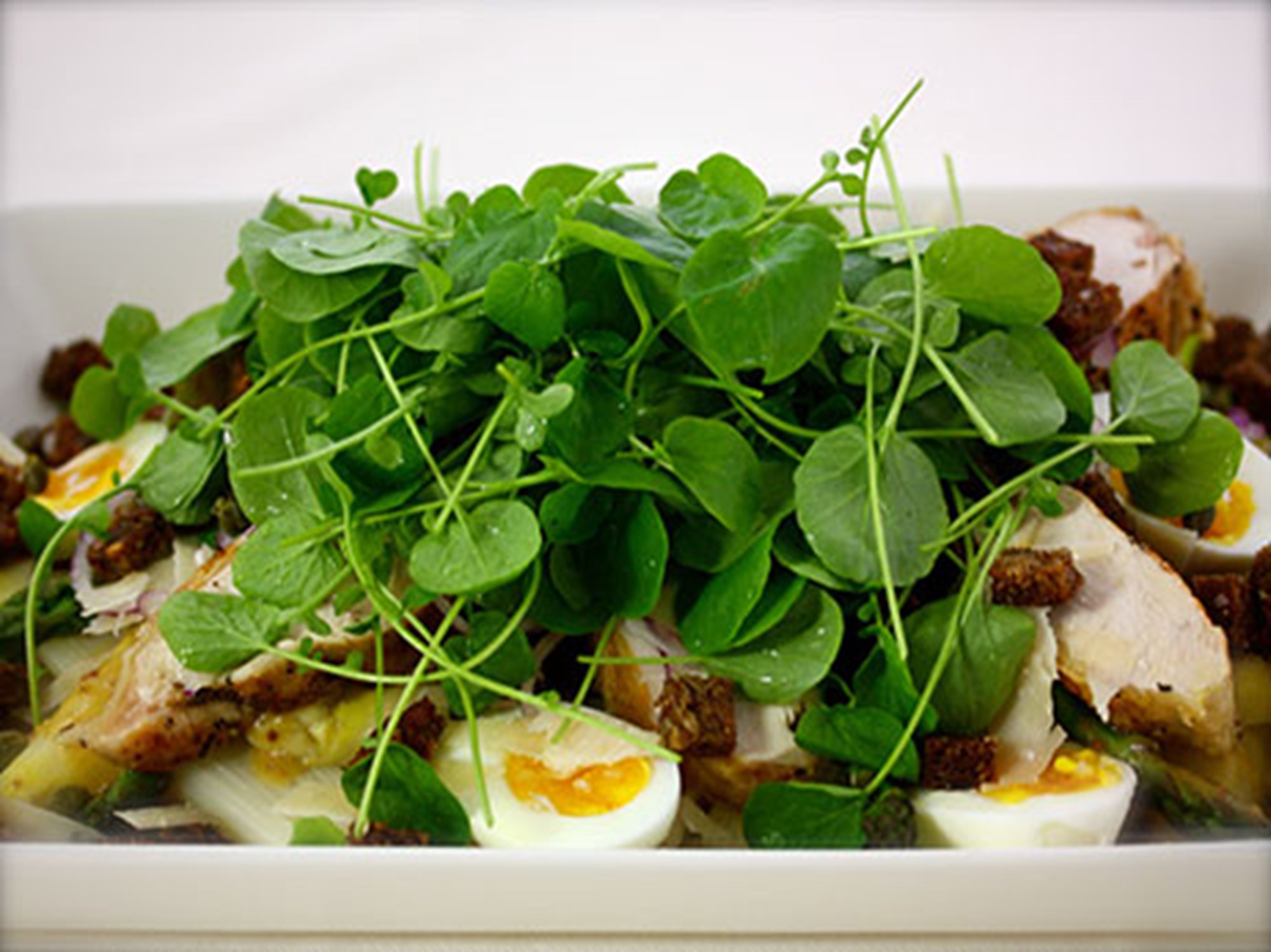 Stegt Hopballekylling med lun salat af rug, parmesan, asparges og brøndkarse