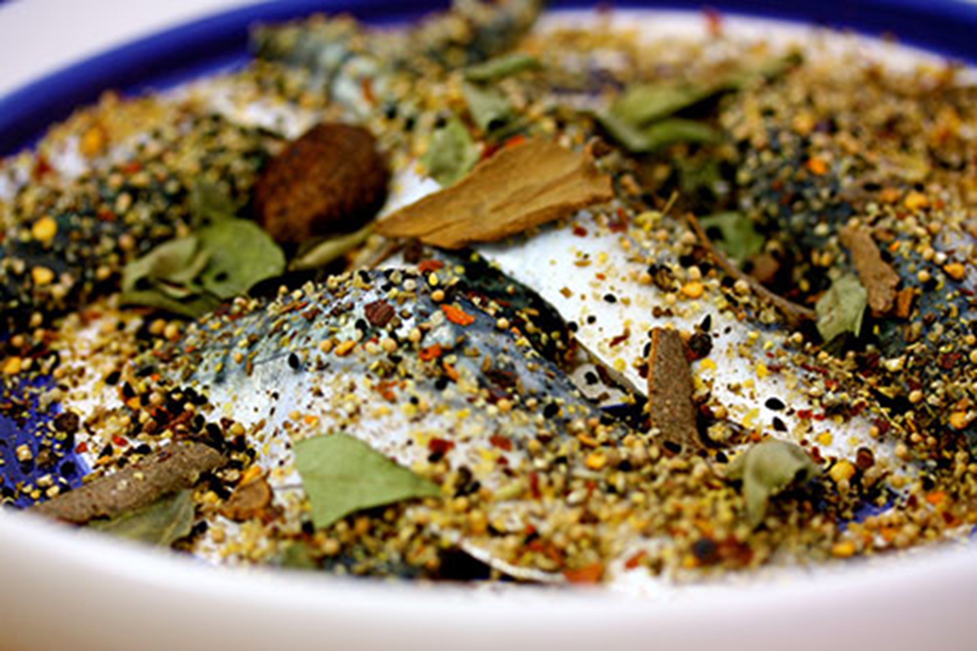 Grillet makrel med indiske krydderier og krydret kikærtesalat med yoghurt