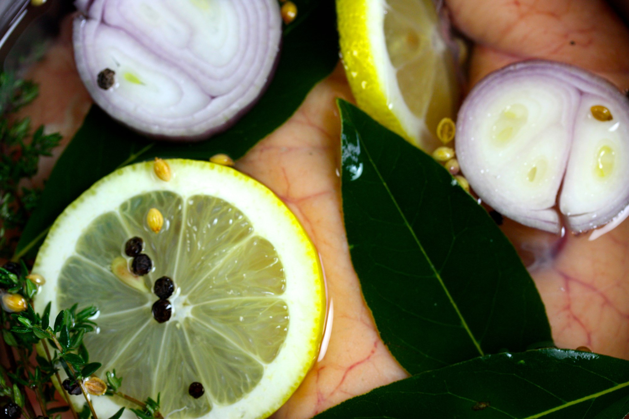 Torskerogn med avocado og karse – hytteost og groft rugbrød