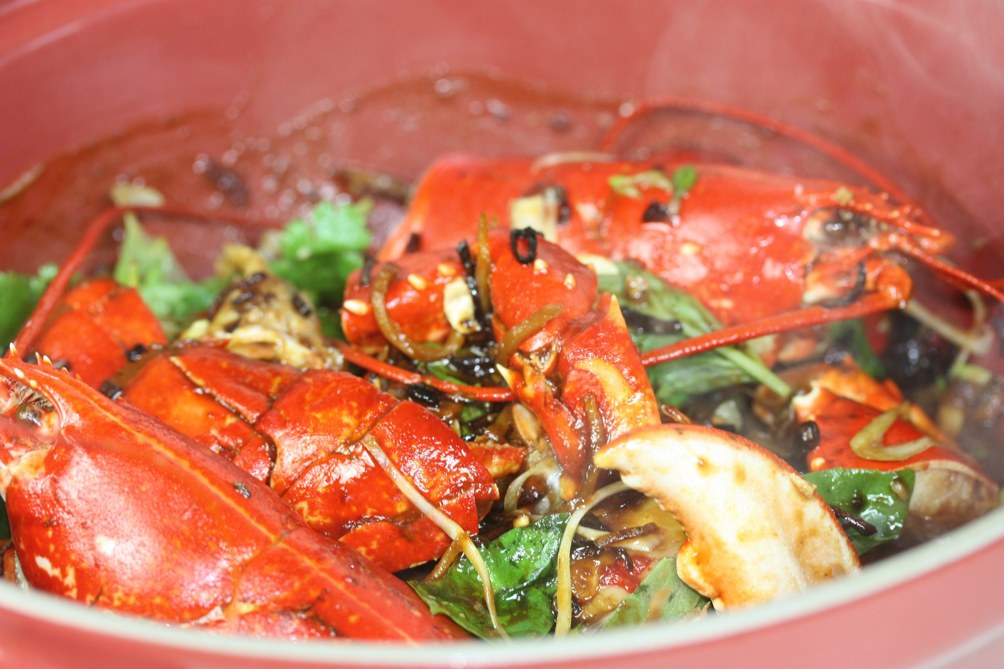 Singaporean chili lobster af nykogt hummer fra Jegindø