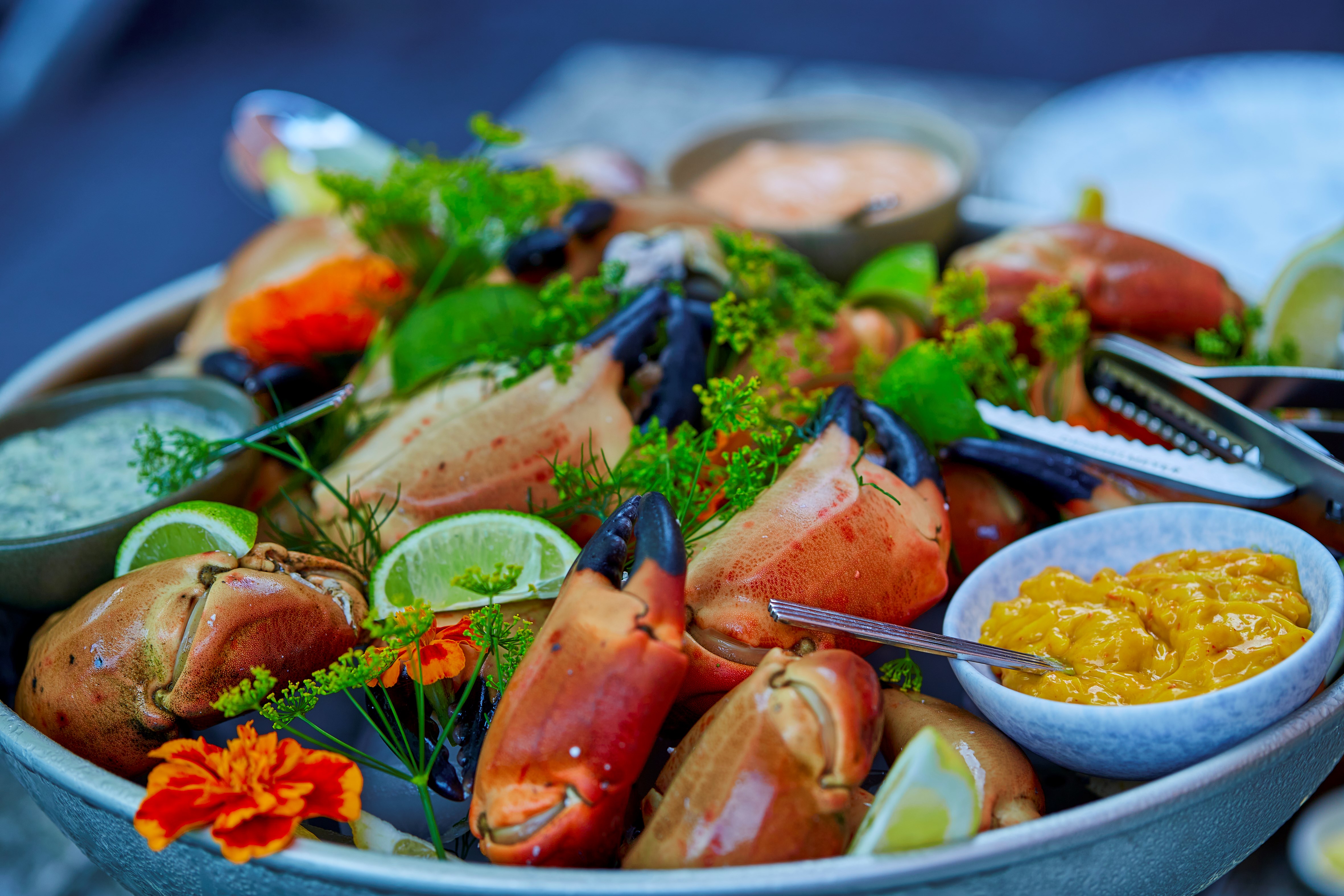 Kogte krabbeklør fra taskekrabber med dilddressing, aïoli ... Kogte krabbeklør fra taskekrabber med dilddressing, aïoli ...