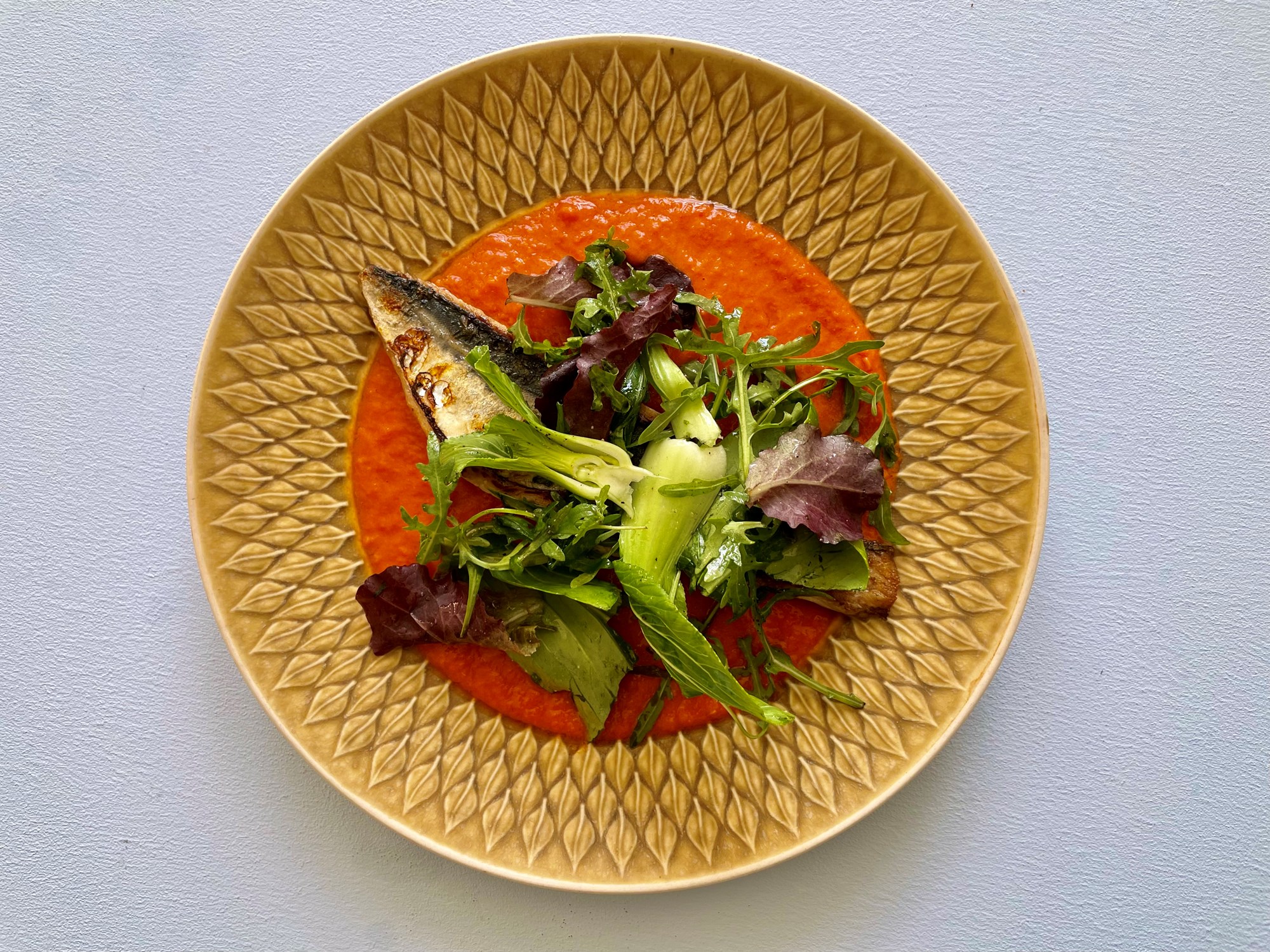 Stegt makrel/hvilling med rød linsesuppe og spæde salater